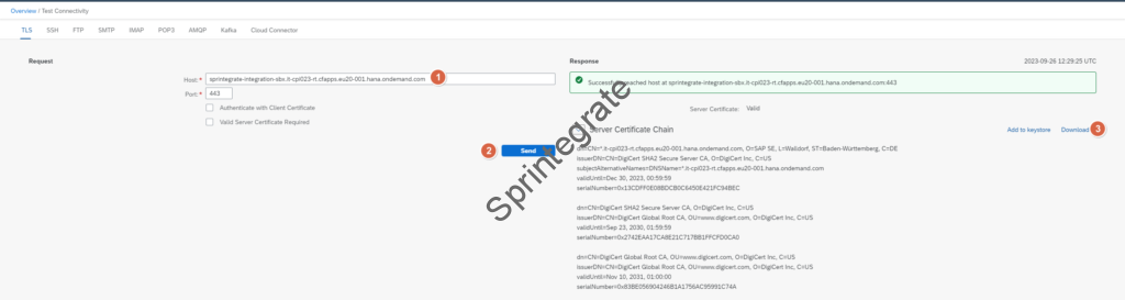 AS2 TLS Connectivity Test