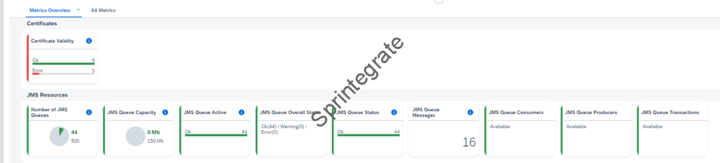 JMS Resources in Health Monitoring - Cloud Integration