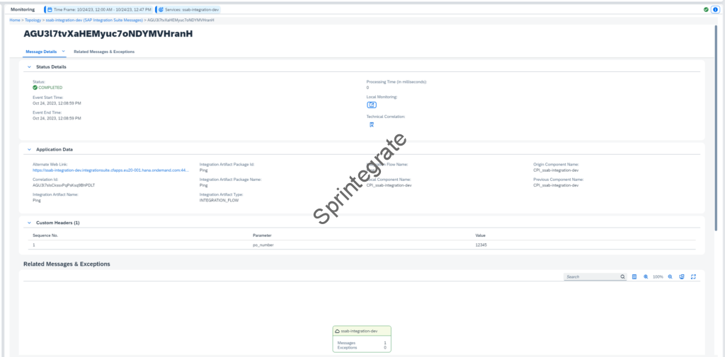 SAP Integration Suite Messages Details For Successful Message