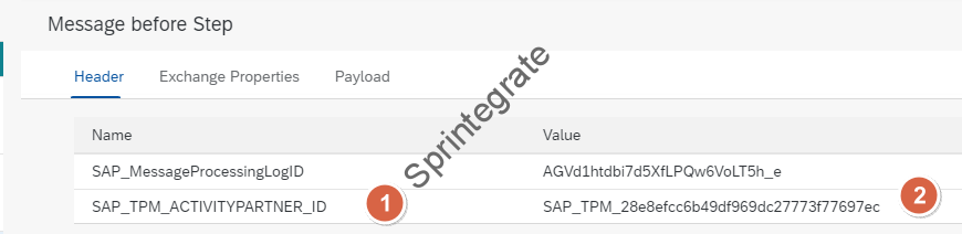 SAP_TPM_ACTIVITYPARTNER_ID