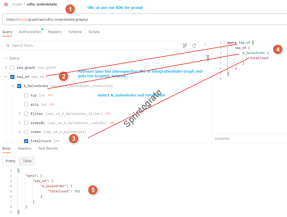 Use Postman to Query your Graph using Introspection in Postman
