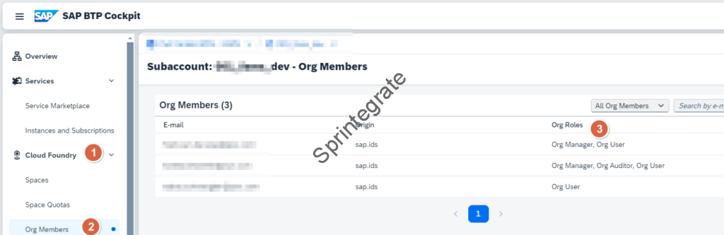 You can view the existing Org Members but cannot add new Org Member