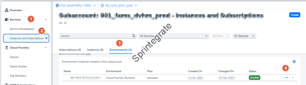 Go to Instances and Subscriptions -> Environment