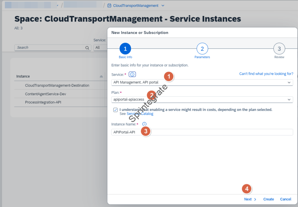 Create a Service Instance for API Management , API Portal